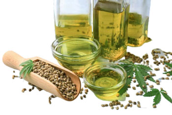 Конопляное масло польза и вред