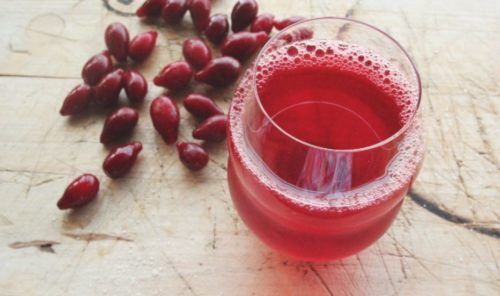 Кизил: описание, сорта, свойства, польза и вред, способы применения, противопоказания и рецепты