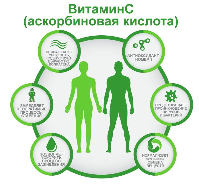 Польза витамина C, аскорбиновая кислота
