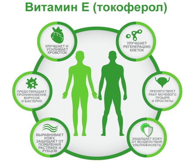 Польза витамина Е, Токоферол