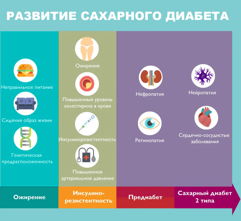 РАЗВИТИЕ САХАРНОГО ДИАБЕТА ифографика