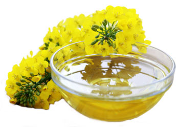 Рыжиковое масло