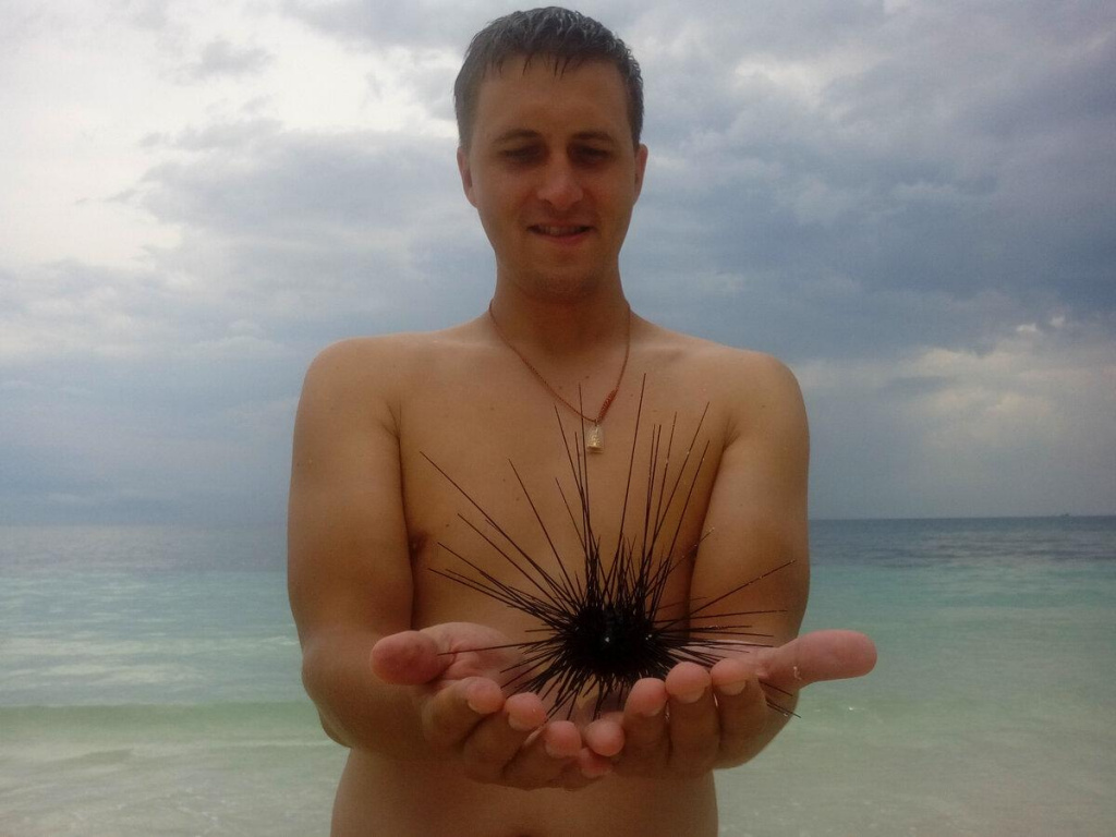 Икра морского ежа полезна для мужского организма