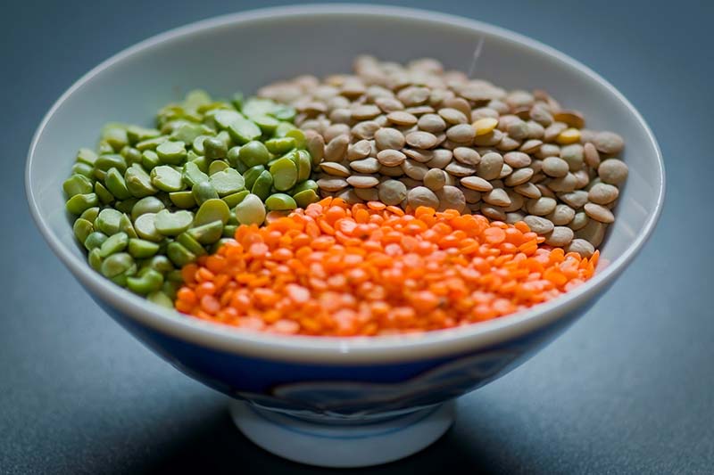 В каких продуктах содержится железо / Ferrum (Fe)