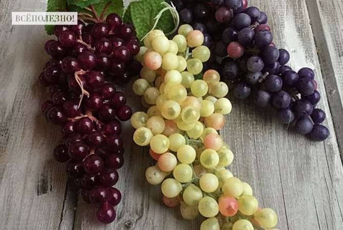 Чем полезен кишмиш для организма человека?