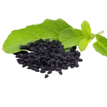 черный тмин