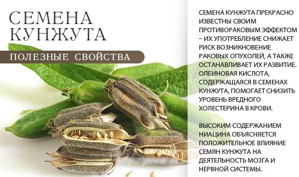 Тахинная халва (кунжутная). Польза и вред для организма