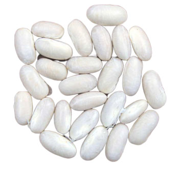 фасоль белая