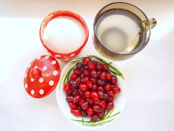 Кизил: описание, сорта, свойства, польза и вред, способы применения, противопоказания и рецепты