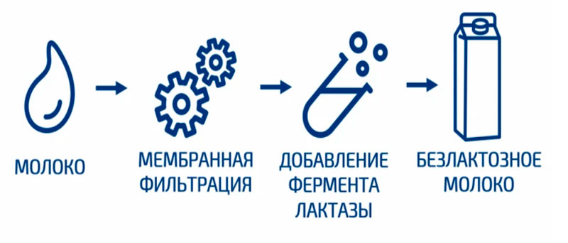 Как делают безлактозное молоко