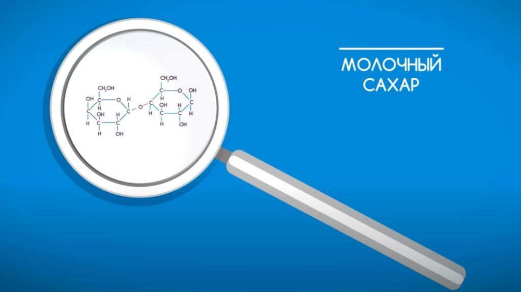 Безлактозное молоко что это такое, польза и вред: альтернатива молочной классике, чем отличается от обычного молока