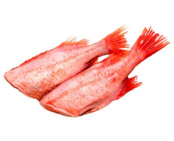 морской окунь