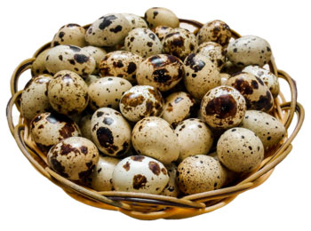 перепильные яйца