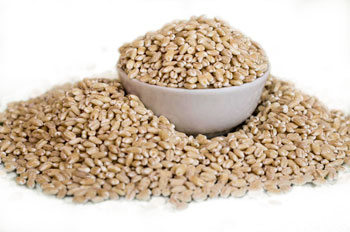 Перловка (перловая крупа) польза и вред