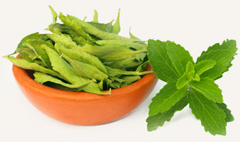 Cтевия польза и вред (заменитель сахара)