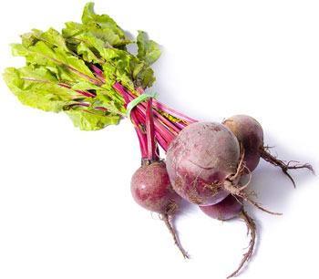 Свекла польза и вред для здоровья организма