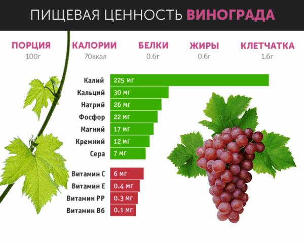 Виноград кишмиш польза и вред для организма человека калорийность, противопоказания к употреблению