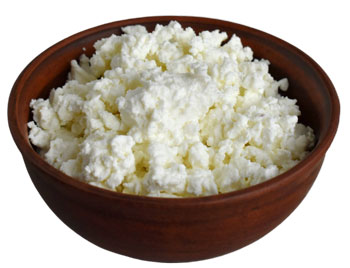 Творог польза и вред для организма человека