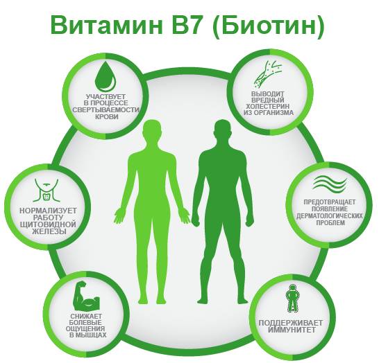 витамин B7 Биотин