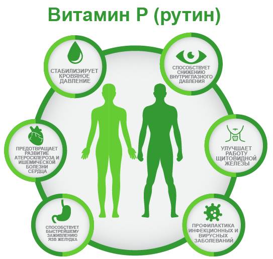 витамин P ифографика