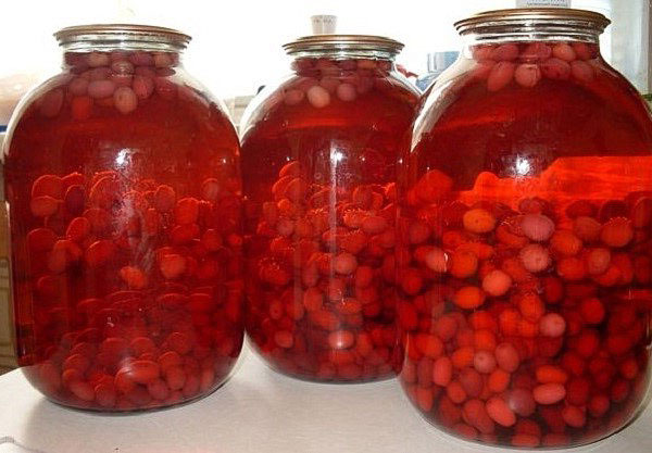 Кизил: описание, сорта, свойства, польза и вред, способы применения, противопоказания и рецепты