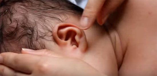 Ушная раковина малыша