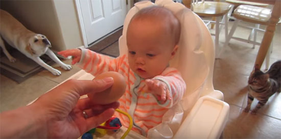 Малыш смотрит на яйцо