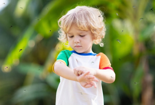 Ребенка кусают насекомые