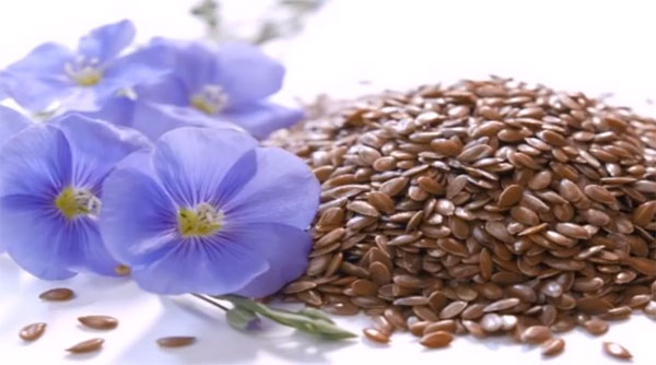 Льняные семечки