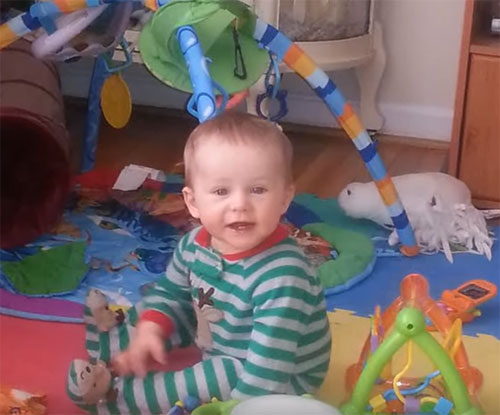 Малыш сидит