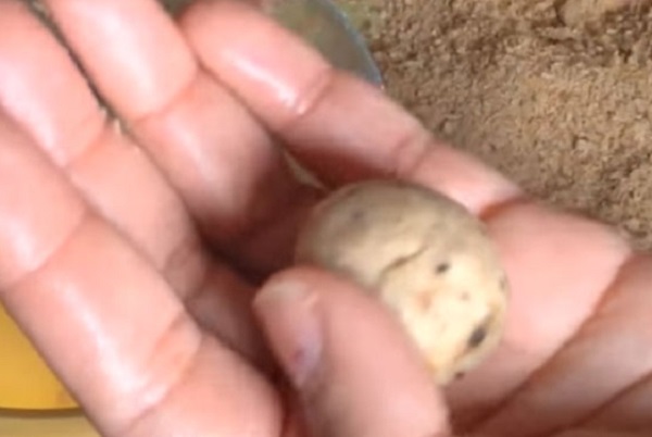 Сырая фрикаделька