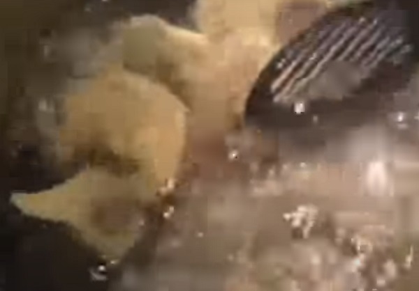 Вареники варятся