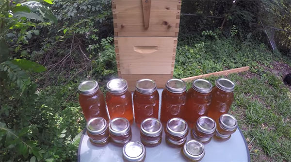 Бутыль с медом