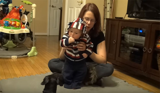 Пятимесячный ребенок учится стоять