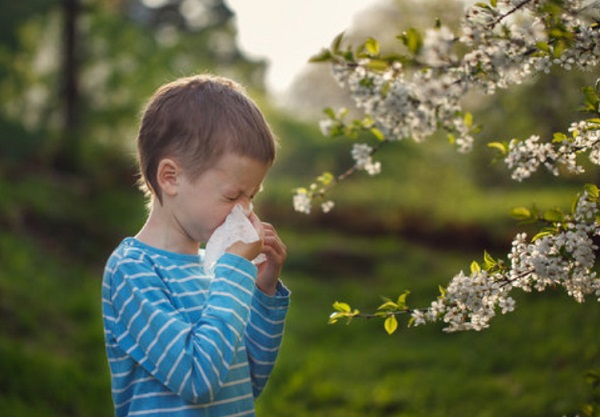 Мальчик высмаркивает нос. Он стоит рядом с цветущим растением