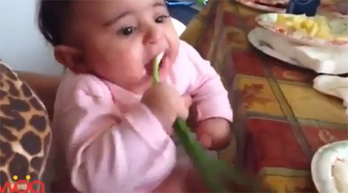 Ребенок ест зеленый лук