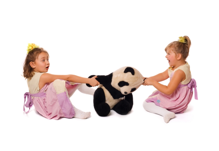 Девочки не могут поделить мягкую игрушку