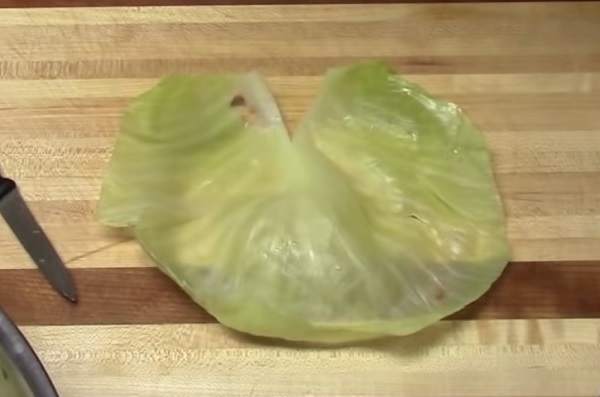 Лист капусты