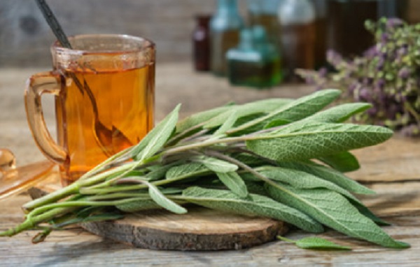 Чай из шалфея. Рядом лежат листья шалфея