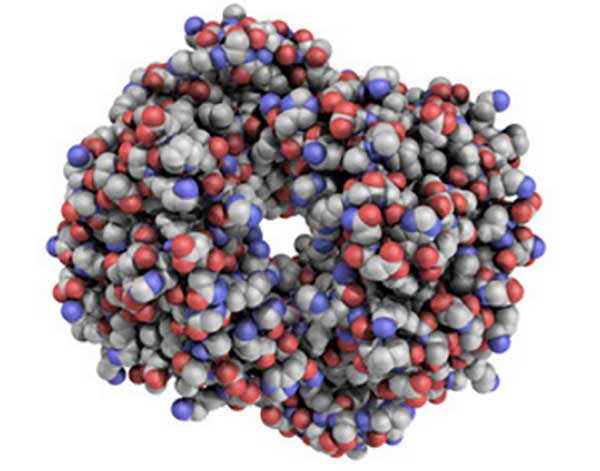 Молекула гемоглобина