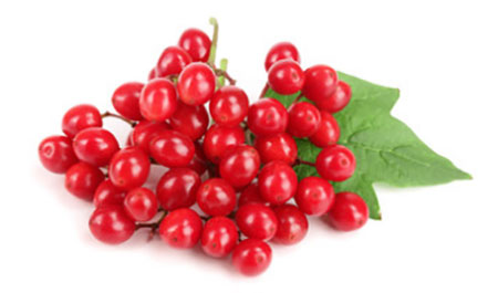 Ягоды калины