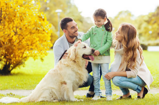 Счастливое семейство на природе