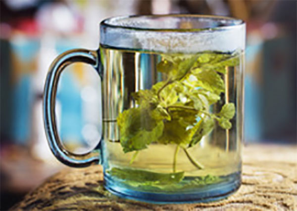 Настой мелиссы в чашке