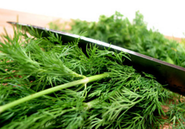 Укроп мелко нарезают