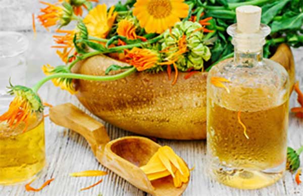 Отвар календулы, рядом цветки растения
