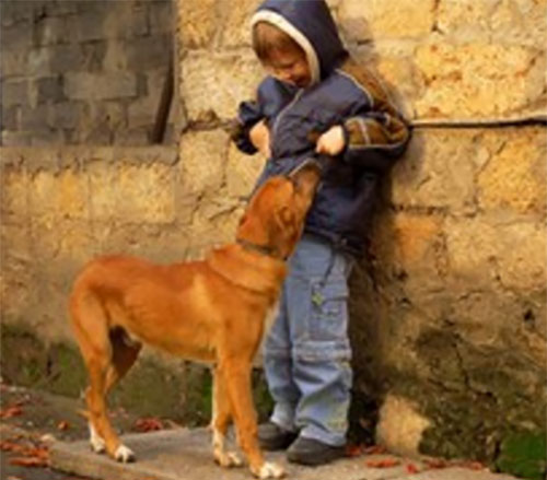 Ребенок напуган, рядом стоит собака