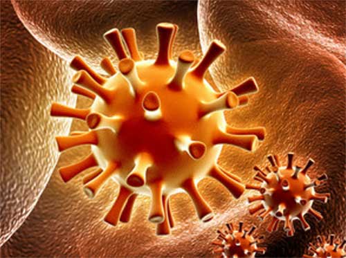 Вирус герпеса