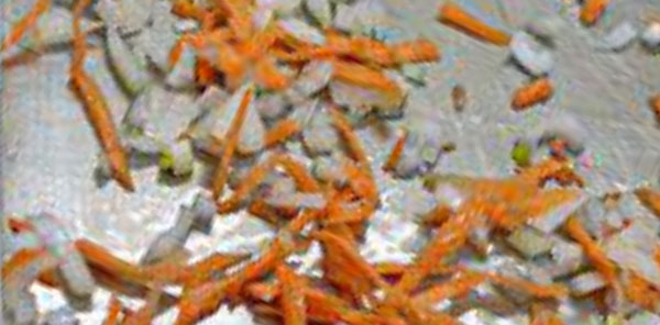 Противень с морковью и луком