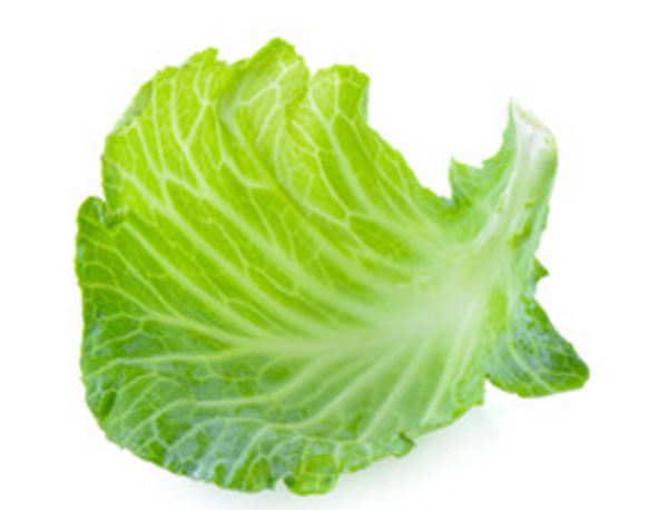 Капустный лист