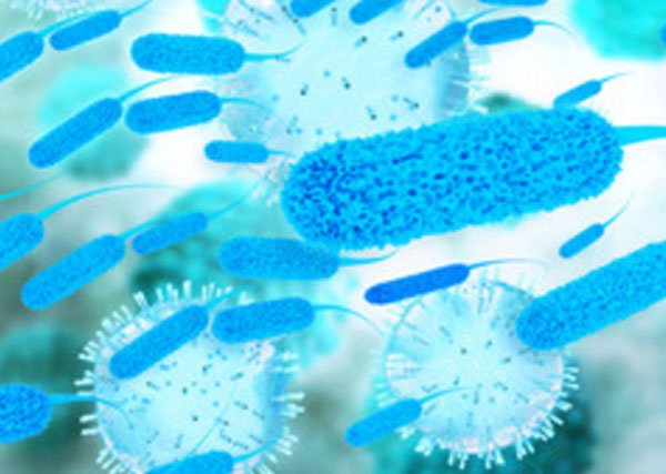 Микроорганизмы